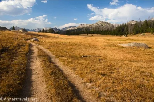 A trail crosses a yellow meadow with mountains and clouds in the sky in the distance
