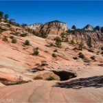 Slickrock around potholes full of water with trees on the slickrock and cliffs against a blue sky