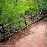 An old watertrough made of wood and metal almost overrun by green leaves