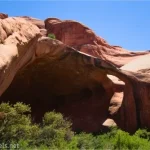 A hole in the top of a shadowed alcove in a red rock allows light to shine through with green bushes in the foreground