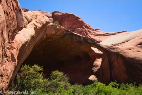 A hole in the top of a shadowed alcove in a red rock allows light to shine through with green bushes in the foreground