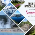 Photos of mountains, lakes, a bridge, and a fern with the text The Best National Parks to visit in the Summer with Itineraries