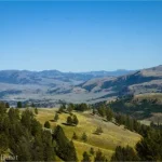 Forests give way to yellow meadows and distant mountains below a blue sky