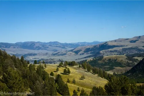 Forests give way to yellow meadows and distant mountains below a blue sky