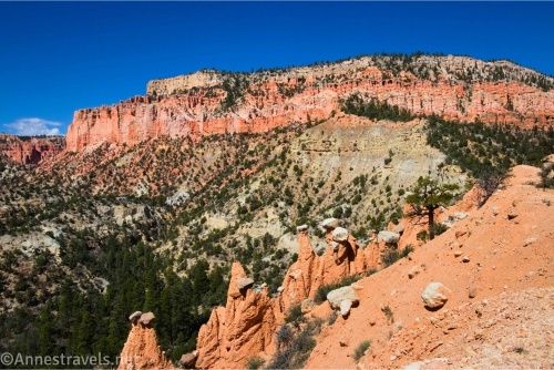 Mushroom hoodoos of the Hat Shop in Bryce Canyon National Park with views to the cliffs on the rim in Utah