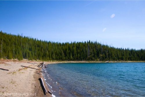 The shoreline of Duck Lake near West Thumb in Yellowstone National Park, Wyoming