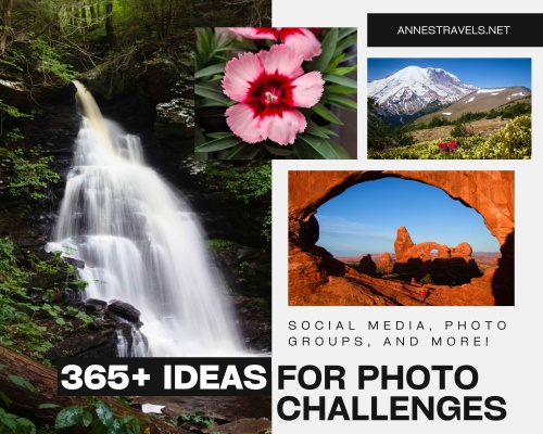 A photo collage showcasing various 365 photo challenge themes, including daily photography prompts, creative composition examples, and seasonal photography ideas.