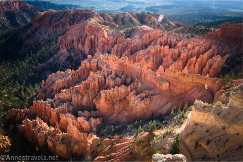 Hoodoos below Bryce Point at sunrise, Bryce Canyon National Park, Utah